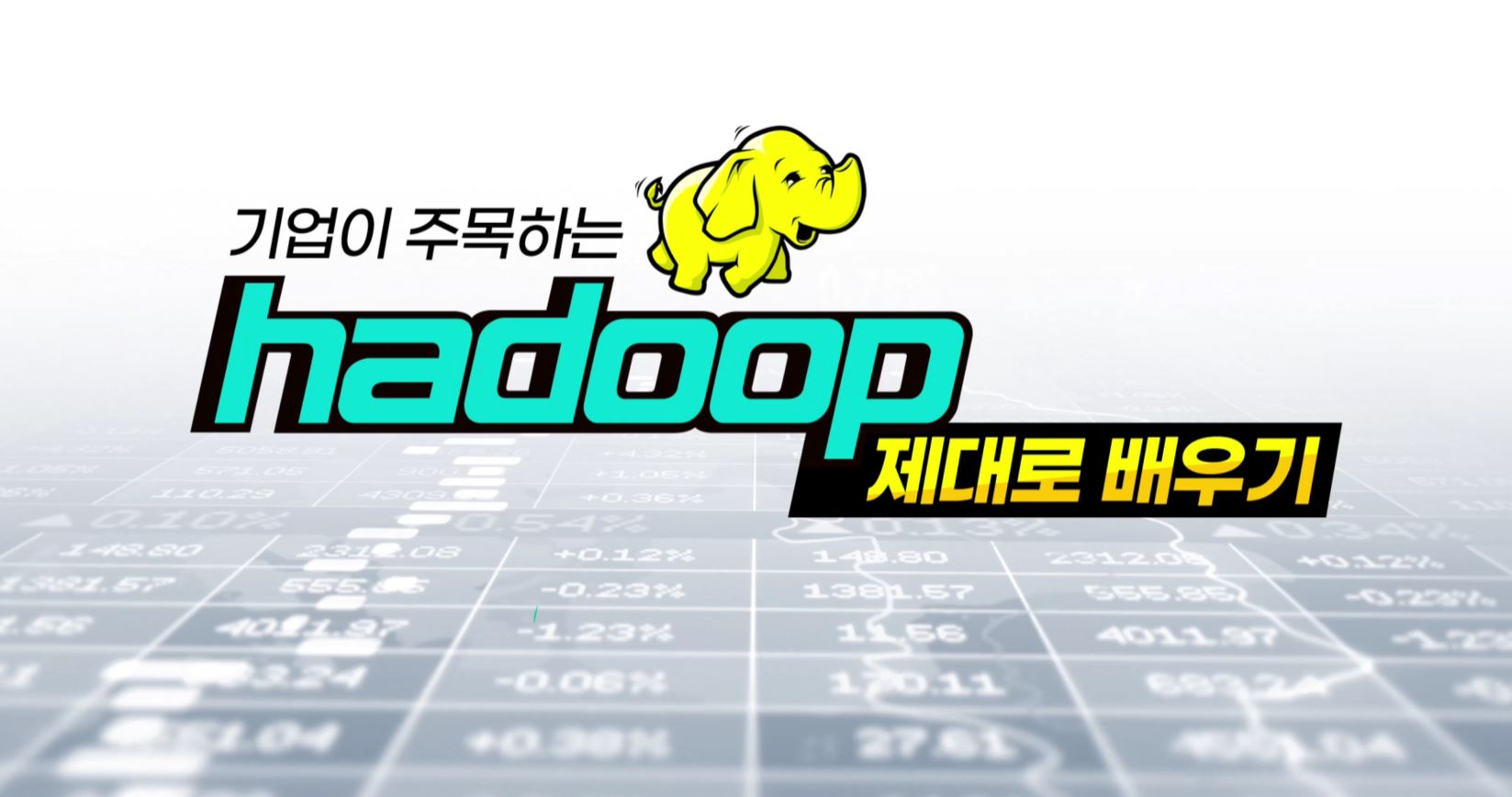 [상위 1% 빅데이터] 기업이 주목하는 Hadoop 제대로 배우기